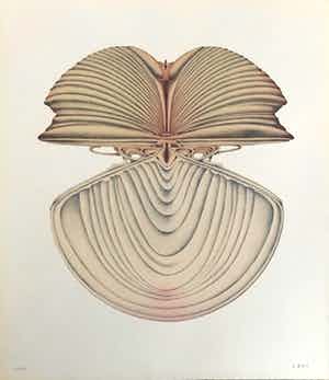 Alain Le Foll - Kleurenlitho - Gesigneerd - 6/150 vendu pour 40€ !