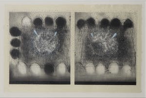 Taisuke Yuki - Houtsnede, ets en aquatint, In my life 9 sushi and party dessert - Ingelijst kopen? Bied vanaf 35!