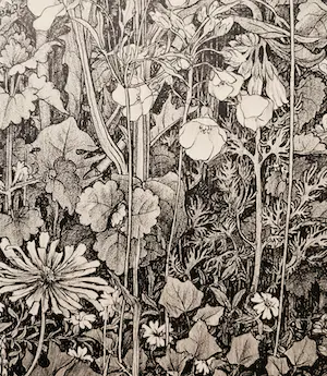 Dirk van Gelder - Fraai gedetailleerde -kleine oplage- Ets - veld met wilde bloemen - gesigneerd kopen? Bied vanaf 50!