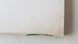 Niet of onleesbaar gesigneerd - Nijlpaard kopen? Bied vanaf 1!