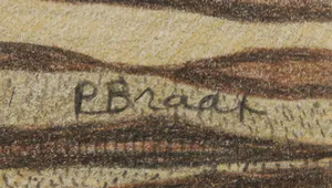 Pauline Braat - Potloodtekening, Strandvondst - Ingelijst kopen? Bied vanaf 1!