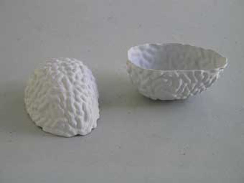 Teja van Hoften (1951)