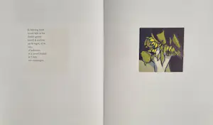 Fon Klement - Fon Klement en Marion Bloem - 'Zwartwit in en achter kleuren' kopen? Bied vanaf 175!