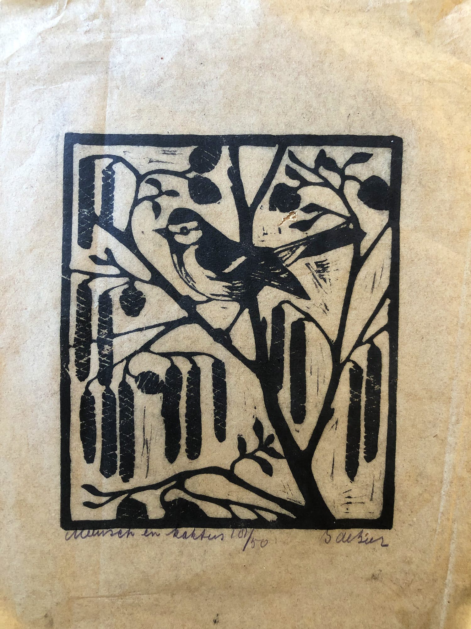 Jac. de Beer - Koolmees met katjes kopen? Bied vanaf 1!