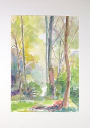 Franscz Witte - aquarel op papier, Boszicht kopen? Bied vanaf 1!