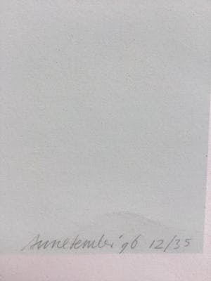 Anne Semler - Zeefdruk, titel Seelenloch, hand gesigneerd, oplage 12/35 kopen? Bied vanaf 15!