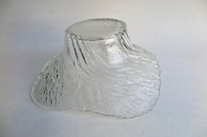 Walther glas - Schaal - Geslepen & Gesatineerd Kristalglas - Decor Bomen in reliëf kopen? Bied vanaf 1!