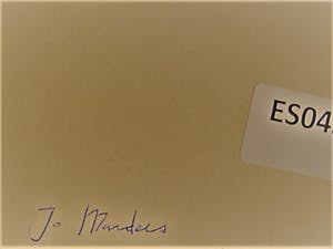 Jo Manders - Jaren 60 Illusionistisch realisme - Grote "Insecten" Sepia tekening - gesigneerd kopen? Bied vanaf 15!