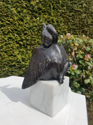 Evert den Hartog - Leda en de zwaan kopen? Bied vanaf 925!