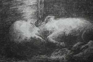 Eduard Karsen - in de varkensstal - ets uit 1892, in zeer goede staat kopen? Bied vanaf 75!