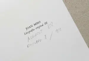 Joan Miro - 'LeSoleil Rouge` - 'Litografo Volume I', Spaanse uitgave uit 1972 Mourlot 858 kopen? Bied vanaf 149!