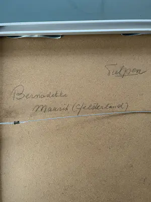 Bernadette Leijdekkers - Tulpen kopen? Bied vanaf 65!