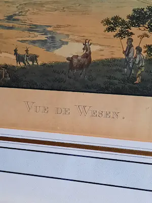 Franz Hegi - lot van 5 ingelijste gravures kopen? Bied vanaf 175!