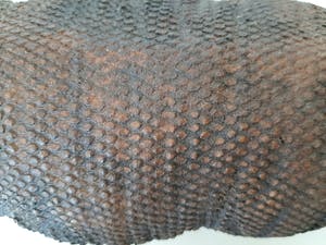 Curiosa - Neushoorn van anaconda leder - antiek kopen? Bied vanaf 1!