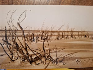 Mieke Bijleveld - set van 6 foto's kopen? Bied vanaf 25!