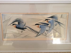 Nicolaas Rin - Vogelvlucht kopen? Bied vanaf 45!