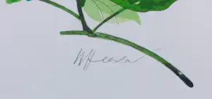 Willem Heesen - Zeefdruk, Glazen blad - Ingelijst kopen? Bied vanaf 1!