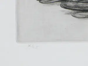 AcheterDick Stolwijk - Dood vogeltje - Ets? Enchérissez de 55!