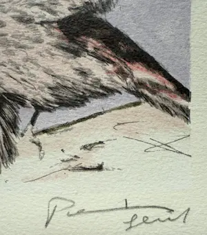 AcheterPieter Alewijns - handgesigneerde zeefdruk | 'Vogel' | 1996? Enchérissez de 50!