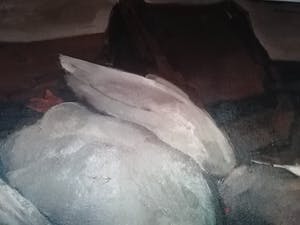 Isidoor Opsomer - 'Na de jacht' kopen? Bied vanaf 1295!