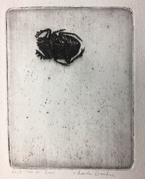 Charles Donker - Ets, luis kopen? Bied vanaf 40!