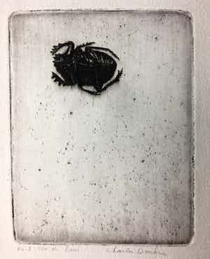 Charles Donker - Ets, luis verkocht voor € 40!