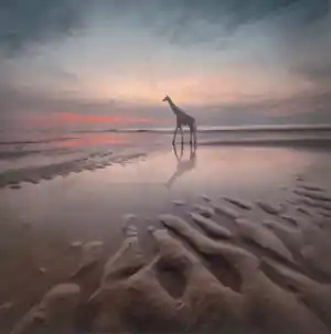 Dariusz Klimczak - 'Avondwandeling' (2012) verkauft für € 40!