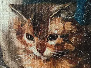 Niet of onleesbaar gesigneerd - Spelende katten kopen? Bied vanaf 10!