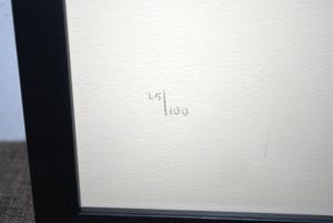 Sam Drukker - LITHO naakt >extra> ETS door Leonor FINI kopen? Bied vanaf 75!