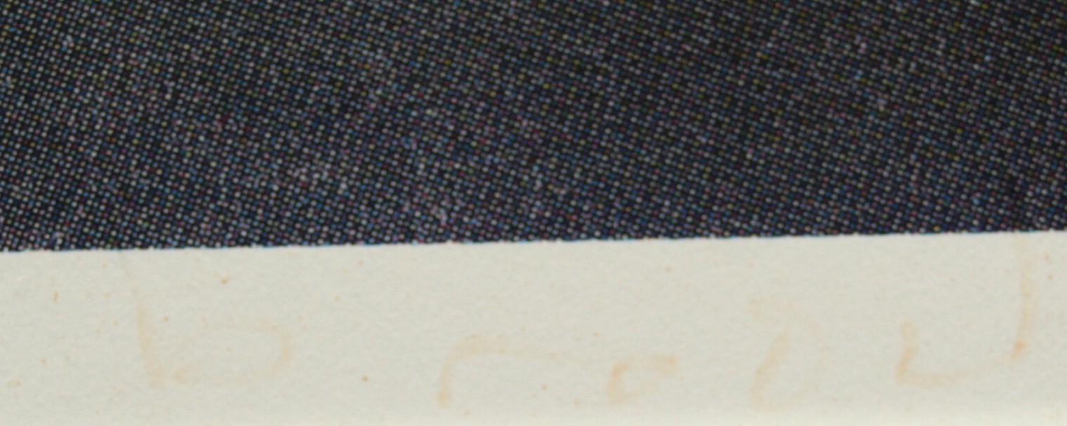 Herman Brood - zeefdruk 1988 - Jet up a rock - gesigneerd kopen? Bied vanaf 205!