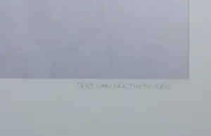 Bert van Goethem - Foto, XVII Century - Ingelijst kopen? Bied vanaf 35!