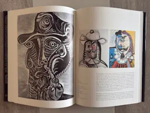 Pablo Picasso - 1945-1973 - Klaus Gallwitz - éditions Denoël kopen? Bied vanaf 40!