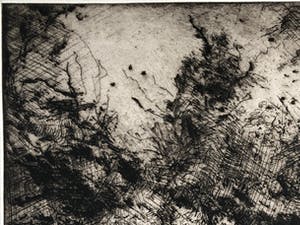 Wim Steijn - landschap/bos kopen? Bied vanaf 15!