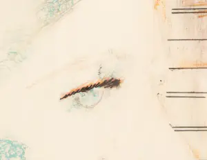 Wout Muller - Did you see? kopen? Bied vanaf 50!