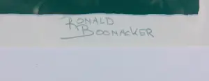 Ronald Boonacker - Zeefdruk, Andalucia - Ingelijst kopen? Bied vanaf 50!