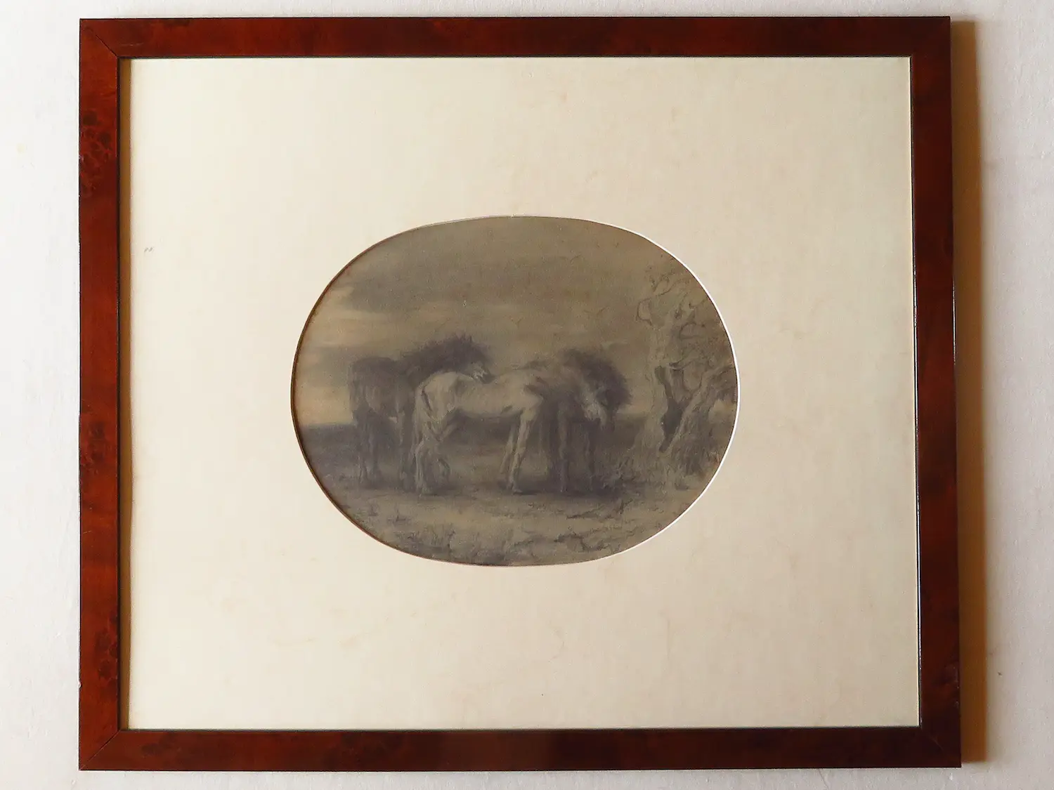 Frederik Willem Zurcher (1835-1894)