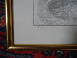 Prins Karel Van Vlaanderen - Bosrand kopen? Bied vanaf 50!