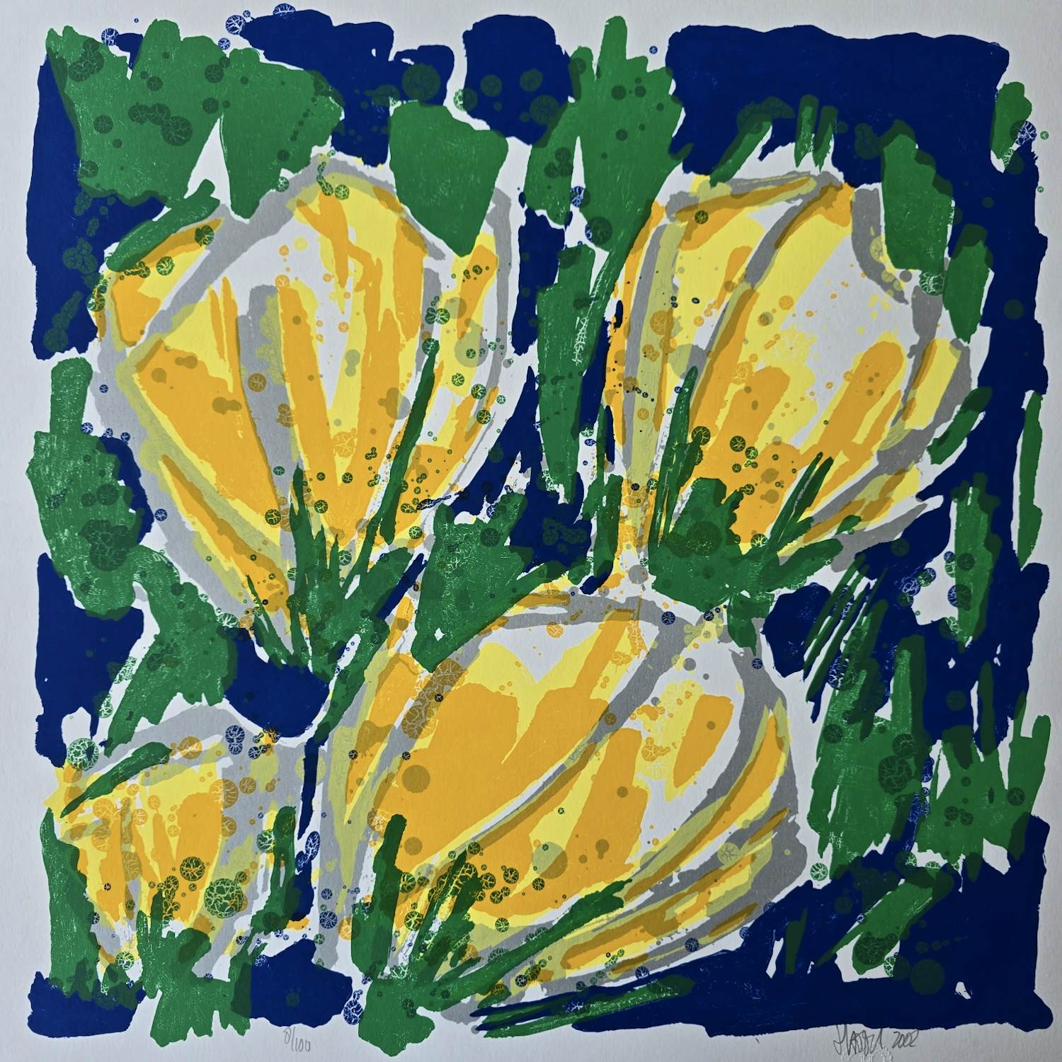 Ad van Hassel - Tulpen - 100 ex kopen? Bied vanaf 69!