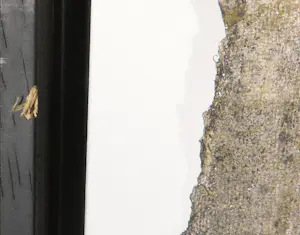 Kantcho Kanev - Zeefdruk op geschept papier, Zonder titel - Ingelijst kopen? Bied vanaf 50!