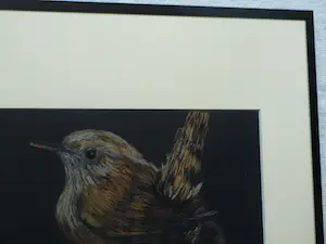 Niet of onleesbaar gesigneerd - Ingelijste pastel , Vogel op tak – gesigneerd – 2017 - Lijst, 41 x 41 cm. kopen? Bied vanaf 1!