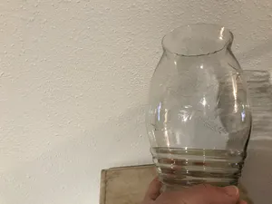 Royal Leerdam - Geëtste vazen met bladeren kopen? Bied vanaf 50!