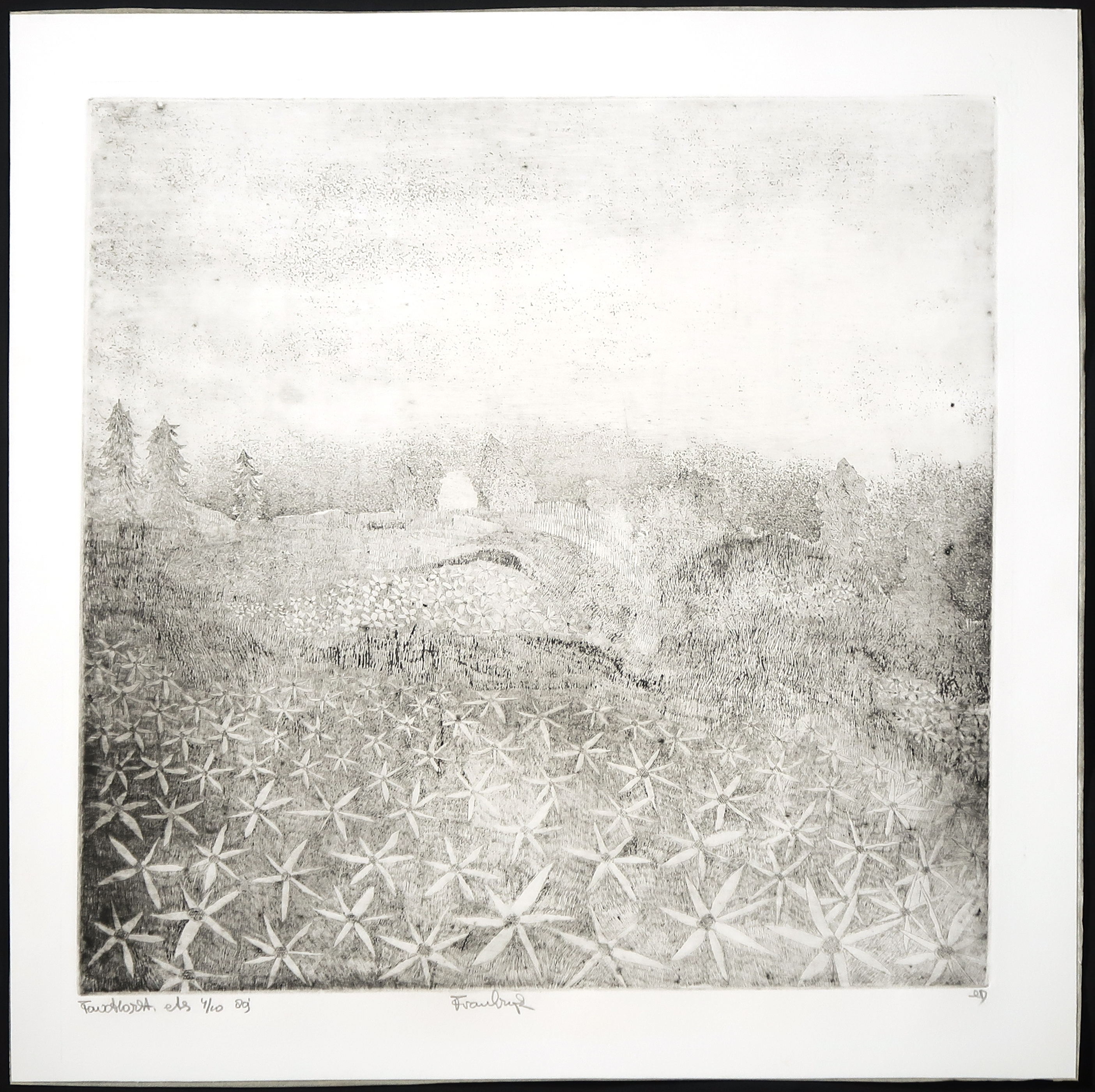 Frits Anton van der Horst - Ets, Frankrijk kopen? Bied vanaf 1!