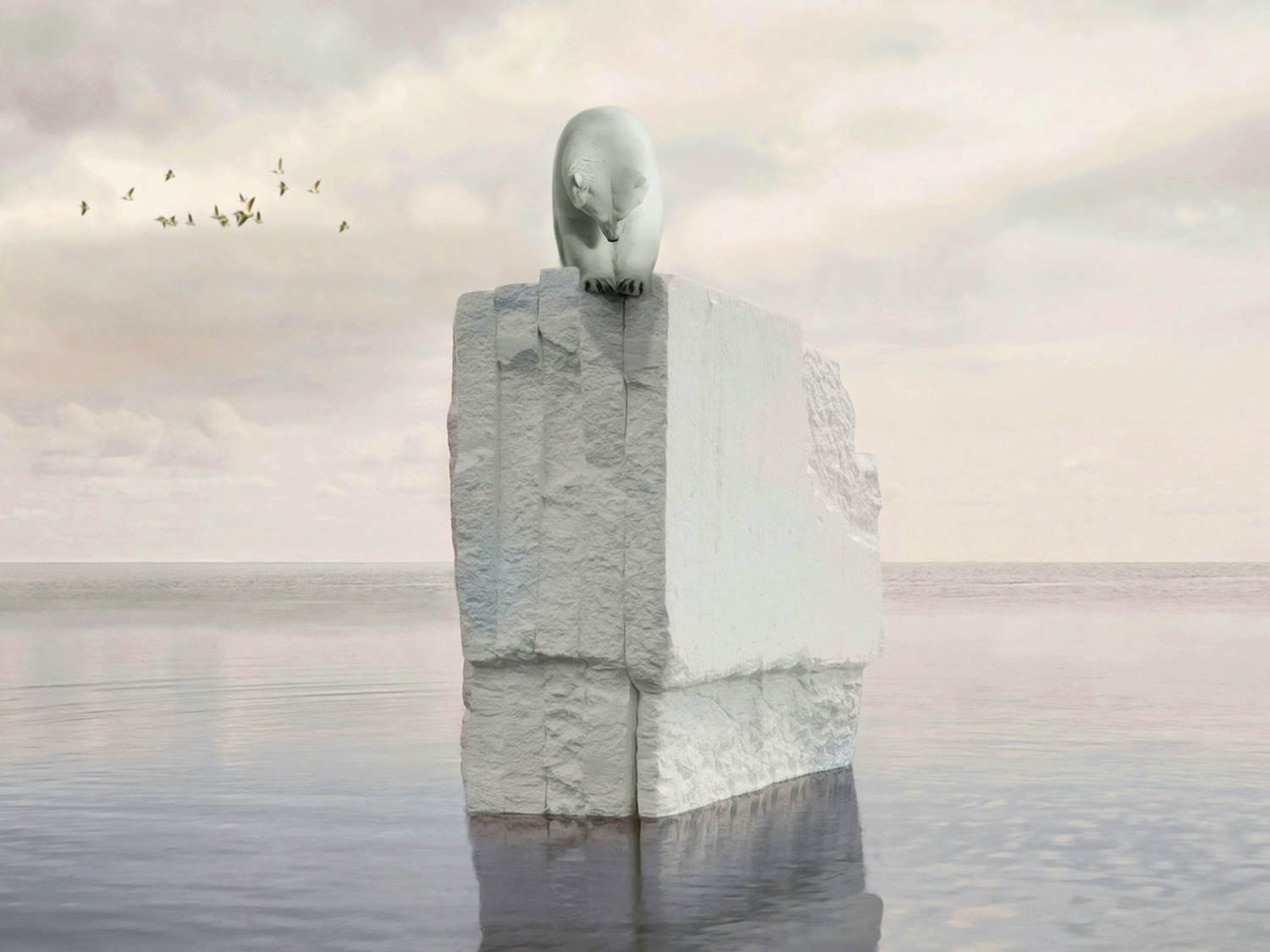 Mr Strange - Op en neer op de Noordpool kopen? Bied vanaf 85!