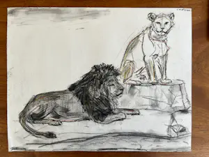 Cornelis Jan Mension - Tekening van een rustende leeuw en leeuwin, gemaakt in Artis kopen? Bied vanaf 85!