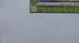 Johannes Vennekamp - LOT VAN 10 STUKS / NAPOLEON / KLEURETS-AQUATINT / 73x53cm / SIG kopen? Bied vanaf 145!