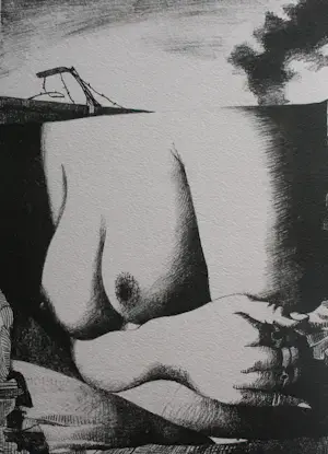 Nicolaas Wijnberg - Litho - 1980 kopen? Bied vanaf 55!