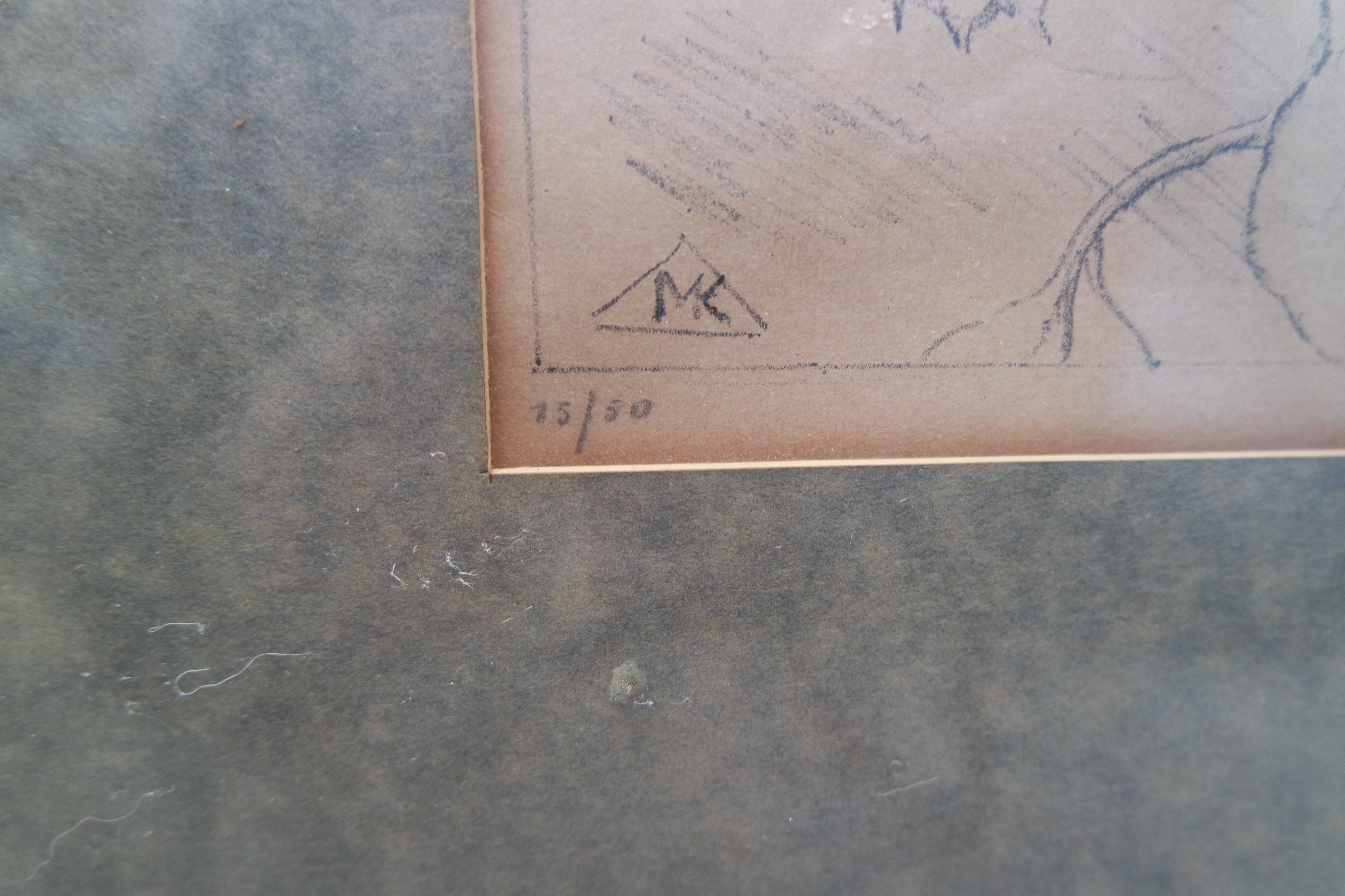 Marie Kelting - Marie Kelting - 2 Papagaaien. 15/50 kopen? Bied vanaf 15!