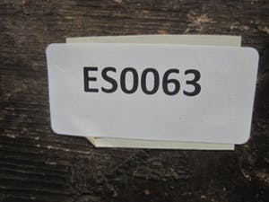 Albert Mulder - "Limburgse Amsterdammer" portret van vrouw - gesigneerd - omstreeks 1920 kopen? Bied vanaf 10!