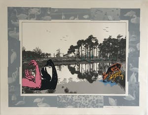 Herman Geerdink - Zwanen kopen? Bied vanaf 15!