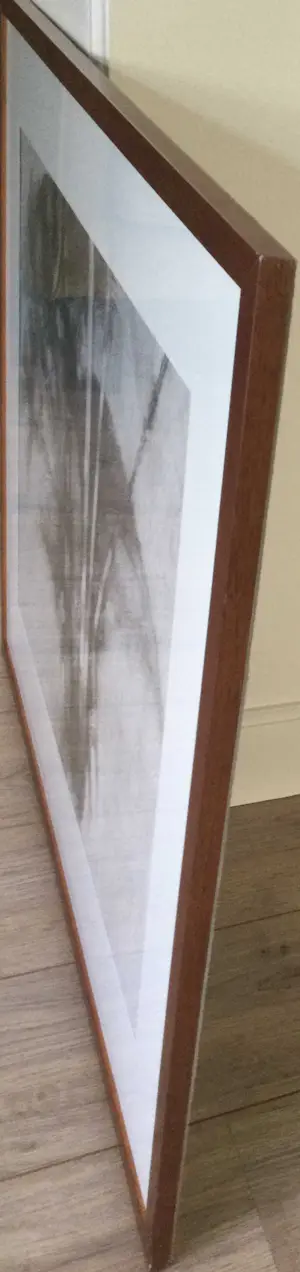 Ab Jongmans - Palm | grote litho - ingelijst kopen? Bied vanaf 39!